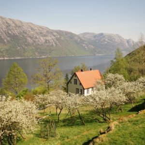 highlights,highlight,flørlitrappene,stavanger region,to do near stavanger,must do stavanger,must see stavanger area,lysefjord attractions,stavanger attractions,stavanger activities,hiking near stavanger,hiking around the lysefjord,preikestolen,pulpit rock hike